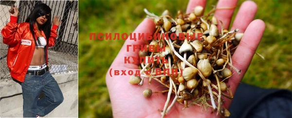 экстази Горно-Алтайск