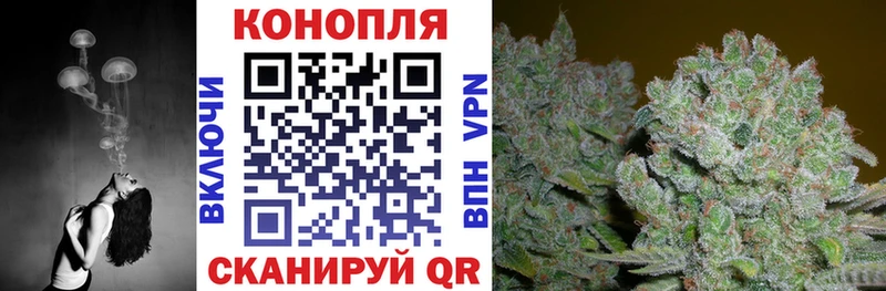 Купить закладки  Каменск-Шахтинский  Конопля LSD WEED 